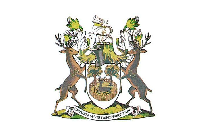 Derby Schools FA logo